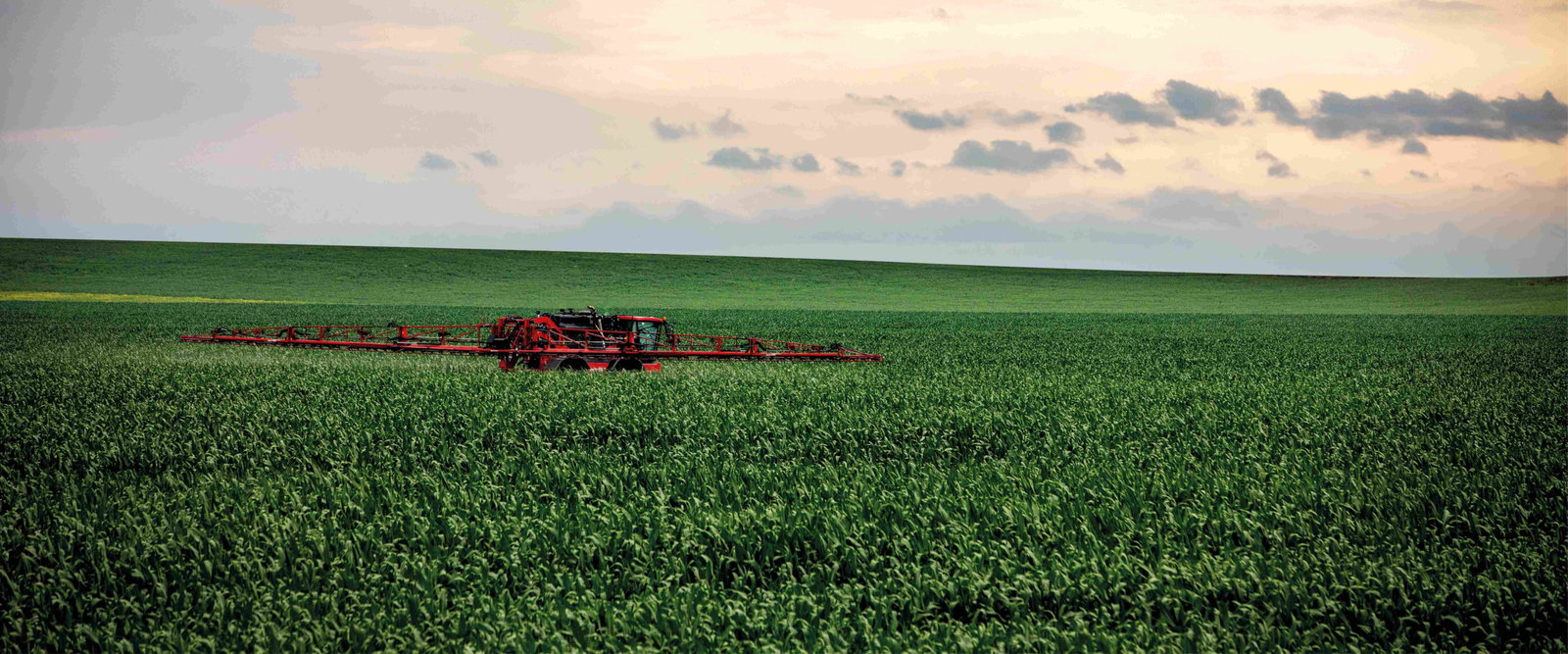 A Condor Clearance sprays crops in a lush green field, showcasing agricultural activity and crop management.