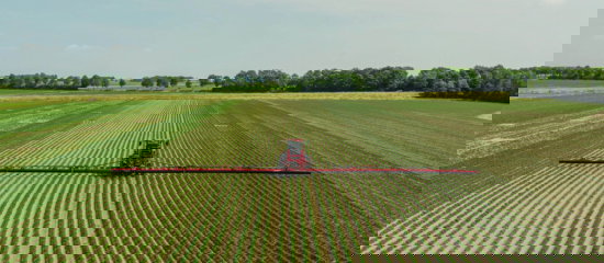 Agrifac WideTrack in a potato field in the Netherlands.