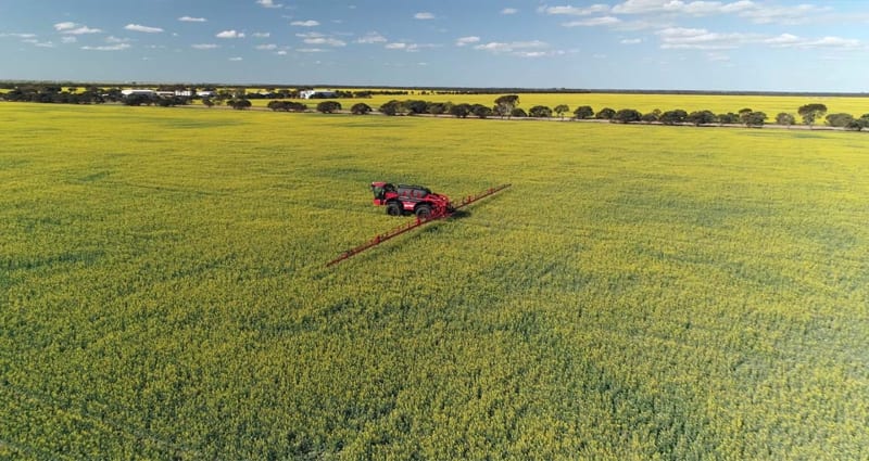 condor_endurance_in_canola_australia