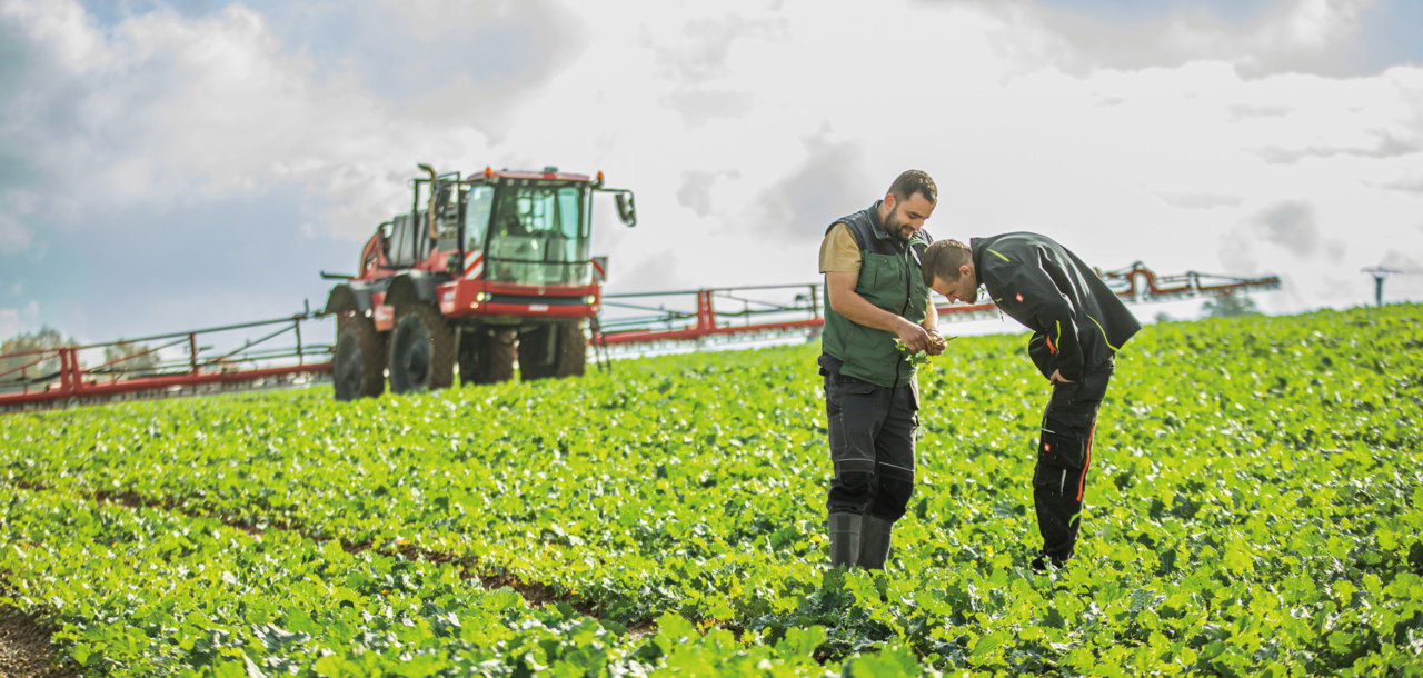 Two men standing in a lush green field, surrounded by vibrant plants, engaged in an agricultural activity.