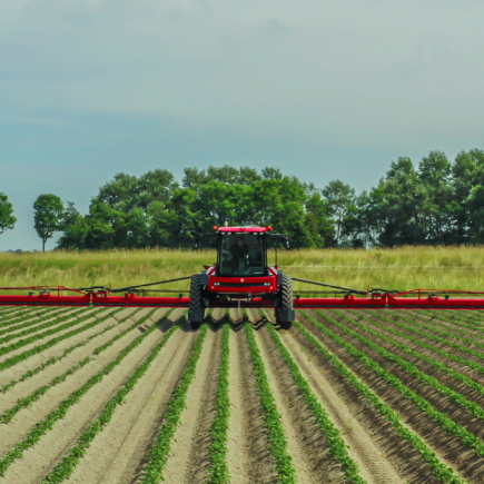Agrifac Condor WideTrack sprayer spraying a potato field.