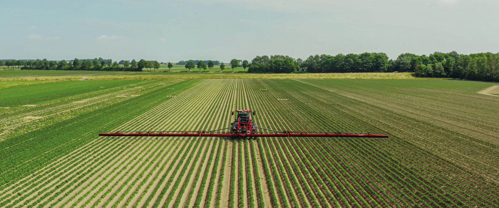 Agrifac WideTrack in a potato field in the Netherlands.
