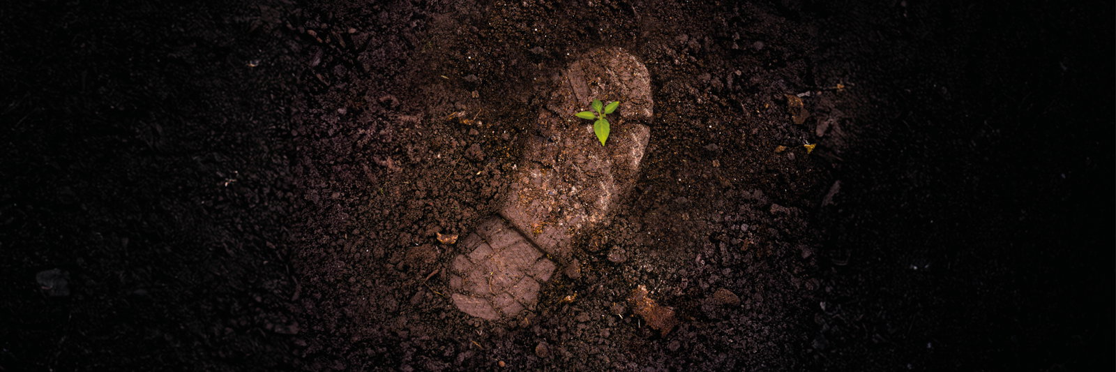 A footprint in sand what stands for sustainability, nature and a green environment.