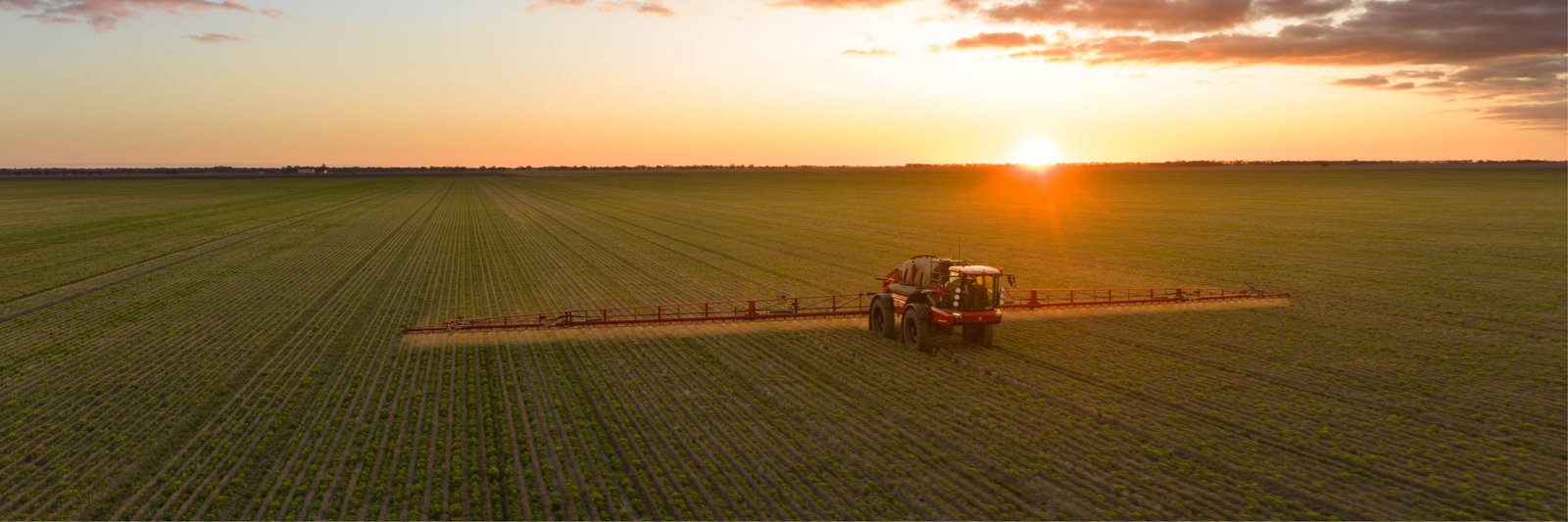 An Agrifac Condor Endurance sprays a field during sunset, casting a warm glow over the landscape and enhancing the agricultural scene.