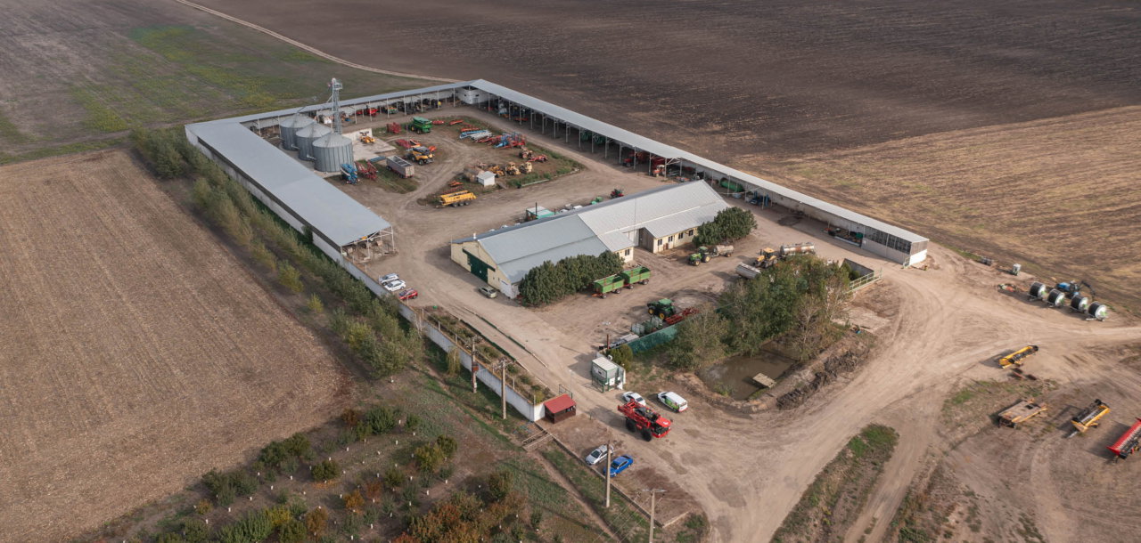 Top view of Forest and Biomass Romania.