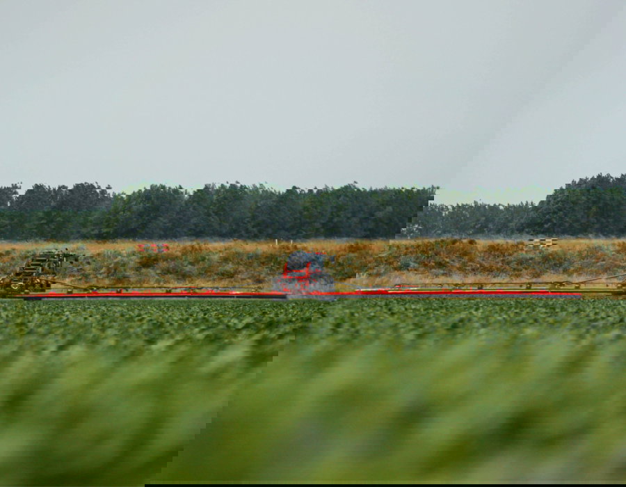 Rear view of the WideTrack Plus spraying a potato field in the Netherlands.